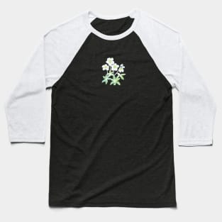 Christmas rose, Helleborus niger, winter-blooming Illustration Baseball T-Shirt